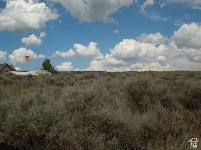 #3