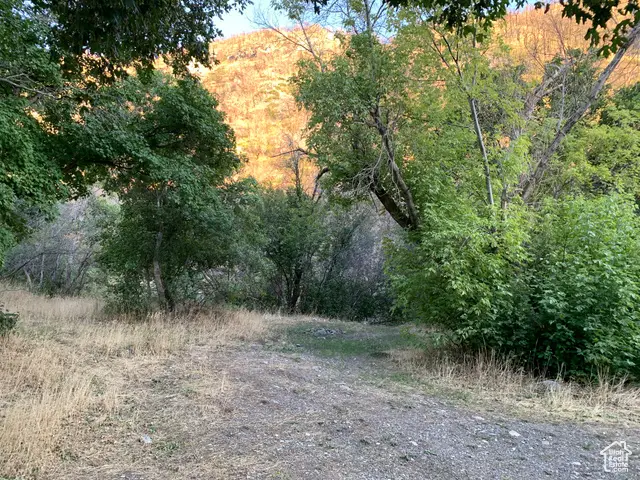 #2