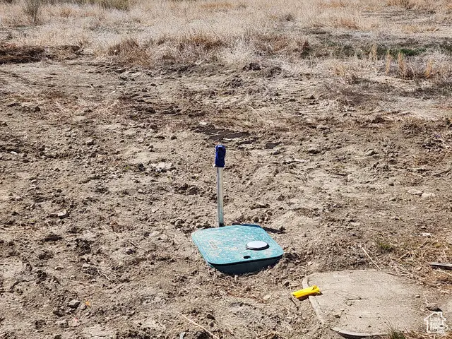 #3