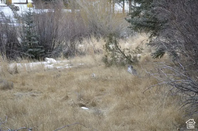 60 N 1270 W, Panguitch, UT 84759 - Image #2