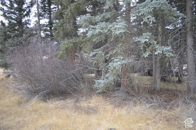 60 N 1270 W, Panguitch, UT 84759 - Image #3