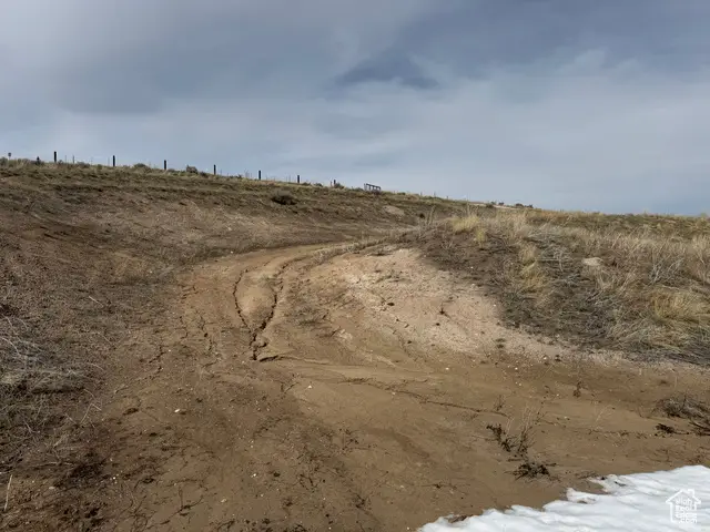 #3