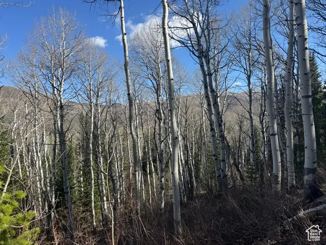 663 Red Fir Way #663, Oakley, UT 84055 - Image #1