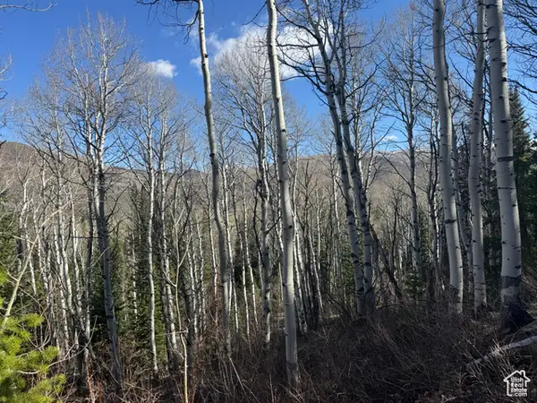 663 Red Fir Way #663, Oakley, UT 84055