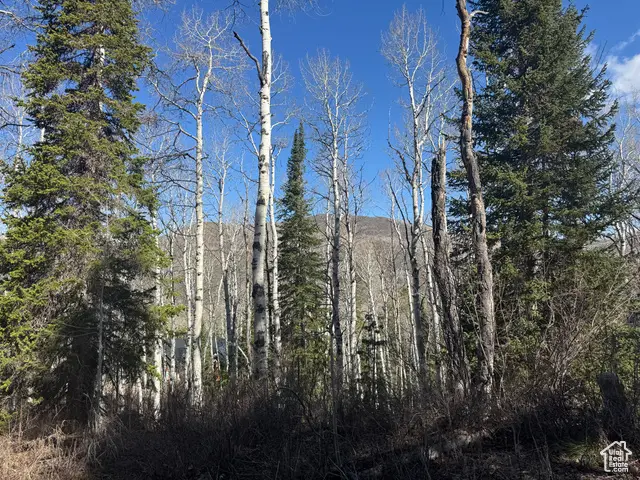 663 Red Fir Way #663, Oakley, UT 84055 - Image #2