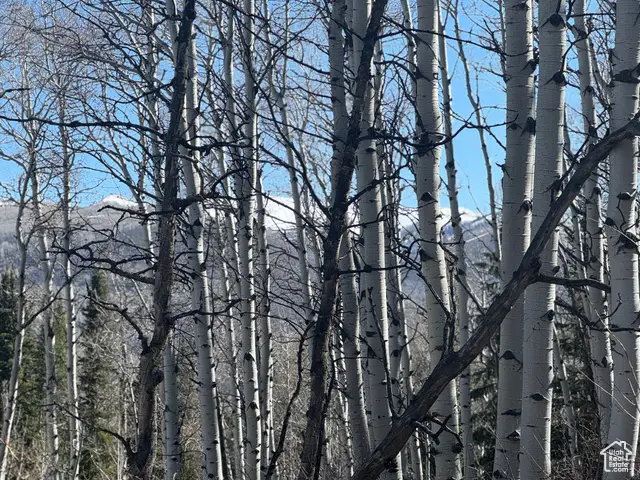 662 Red Fir Way #662, Oakley, UT 84055 - Image #1