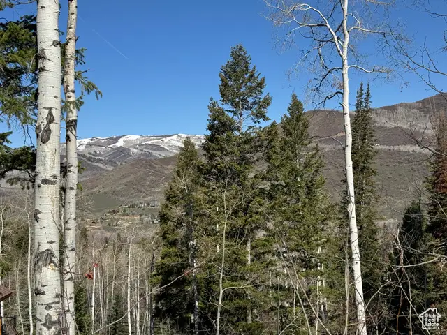 662 Red Fir Way #662, Oakley, UT 84055 - Image #2