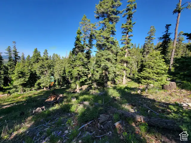 6220 W Brook Ln, Duck Creek Village, UT 84762 - Image #3