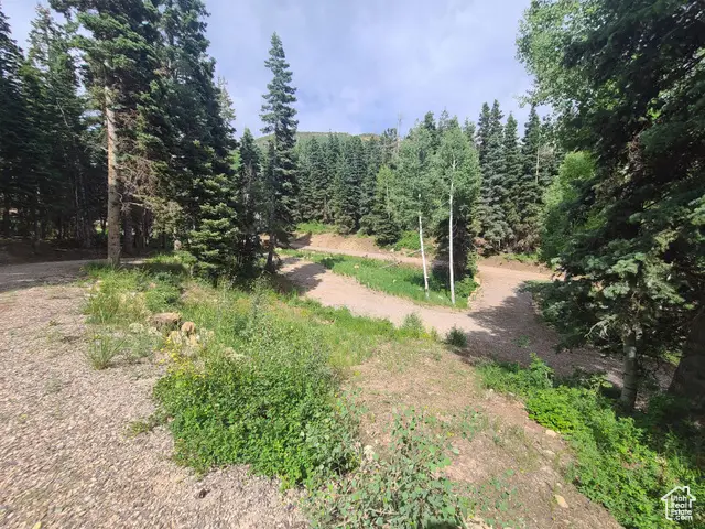 #3