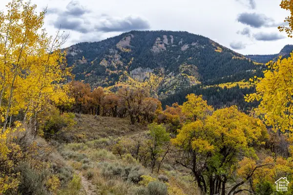 672 Carson Ln, Oakley, UT 84055