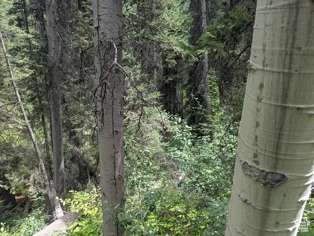 11319 E Tanglewood Dr S #654, Heber City, UT 84032 - Image #3