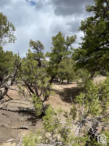 Address Withheld By Seller, Fruitland, UT 84027 - Image #3