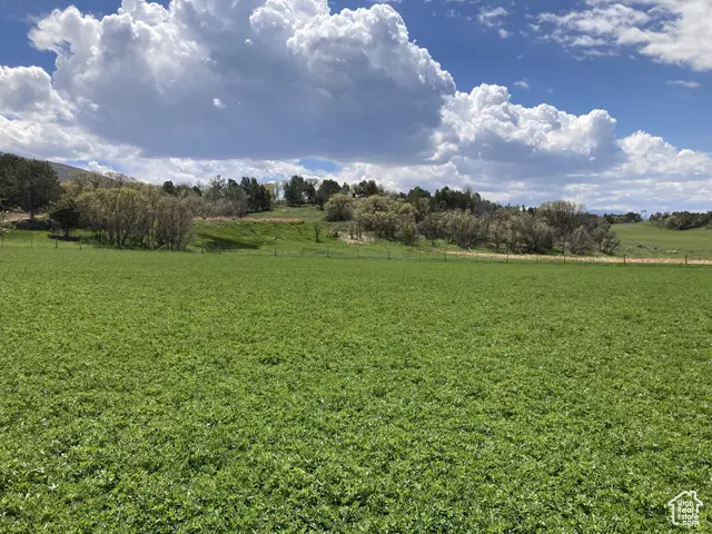 900 N Clements, Fairview, UT 84629 - #3