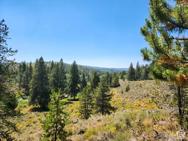 5559 Forest Dr, Kamas, UT 84036 - Image #3