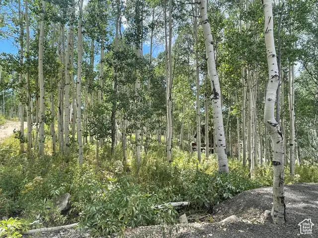 11485 Violet Way #1845, Heber City, UT 84032 - Image #2