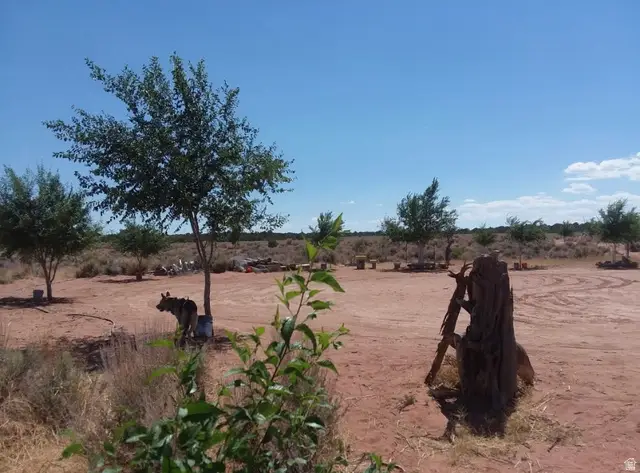 #36A, Cripple Creek, UT 84027 - Image #2