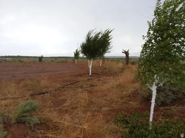 #36A, Cripple Creek, UT 84027 - Image #3