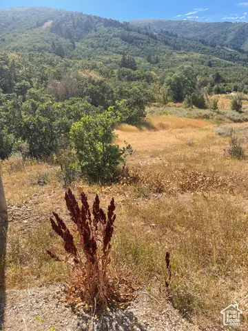 #3