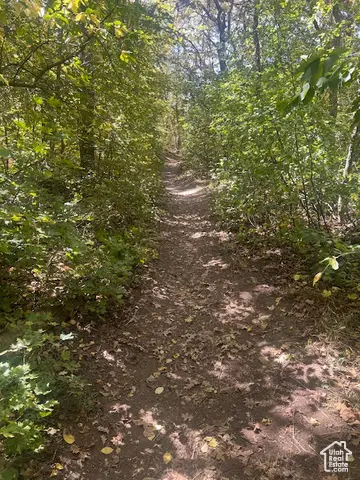 #3