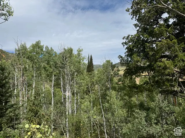 #3