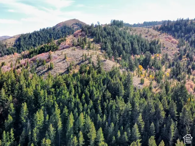 22 Skinner Canyon Rd, Montpelier, ID 83254 - Image #2