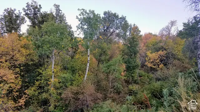 #3