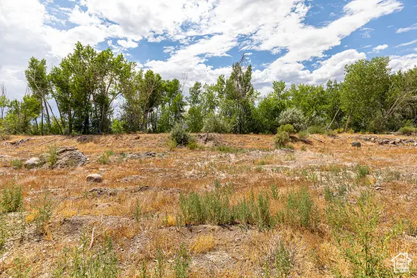 #16, Salina, UT 84654