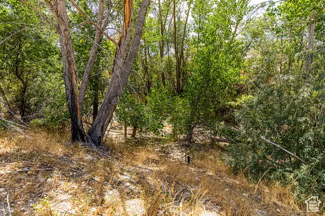 #16, Salina, UT 84654 - #2