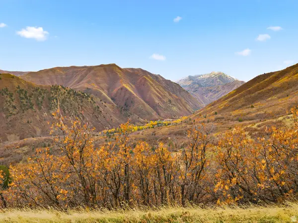 2000 Oak Wood Dr #3, Springville, UT 84663