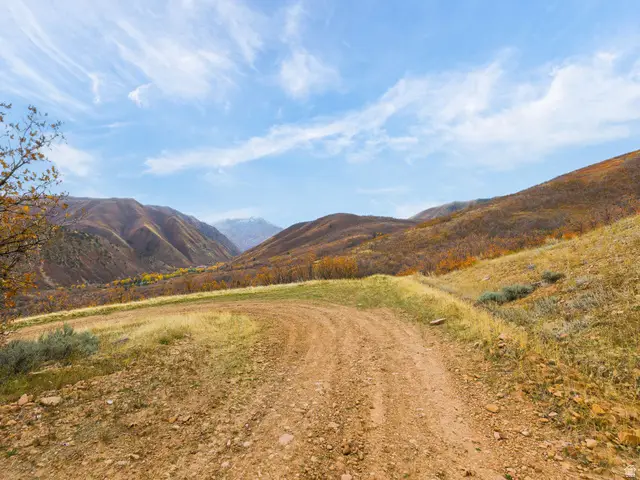 2000 Oak Wood Dr #3, Springville, UT 84663 - Image #3