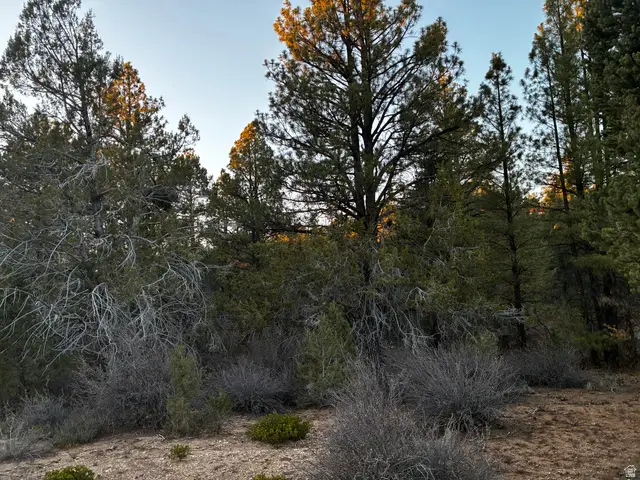 9 Lot 9 Block D St, Orderville, UT 84758 - Image #2