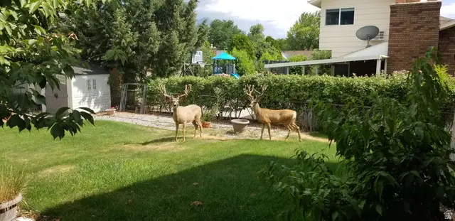 386 N 1100 E, Orem, UT 84097 - Image #2