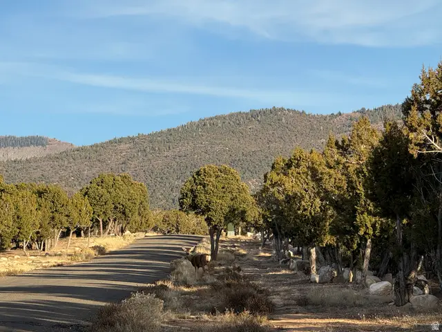 #2, Spring City, UT 84662 - Image #1