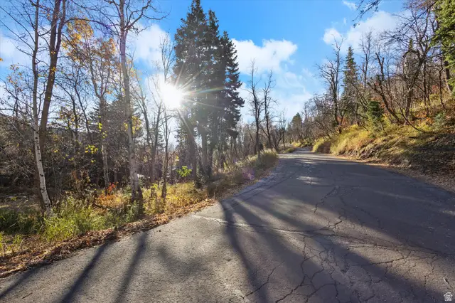 9128 N Timphaven Rd E, Sundance, UT 84604 - Image #3