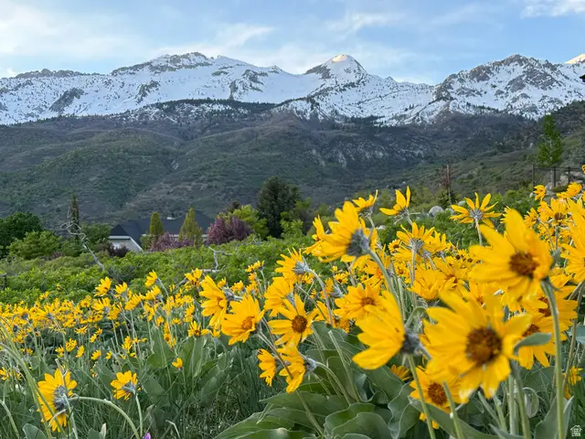 1653 Rosanna Cir, Alpine, UT 84004 - Image #1