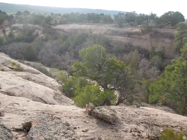 411 W Sand Flats Rd 11675 E L On Pub Rd, Moab, UT 84532 - Image #2