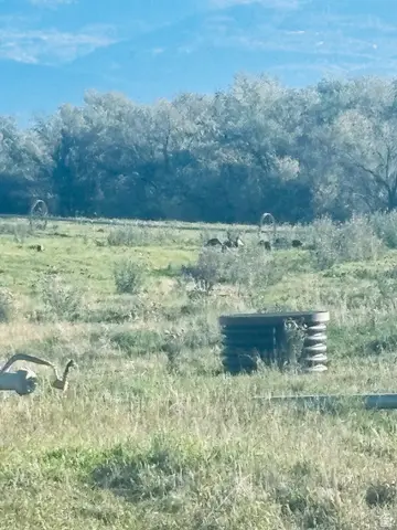 3611 W Hwy 116, Mount Pleasant, UT 84647 - Image #2