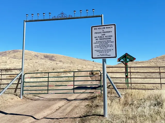 29010 N 8000 E #77, Fairview, UT 84629 - Image #3