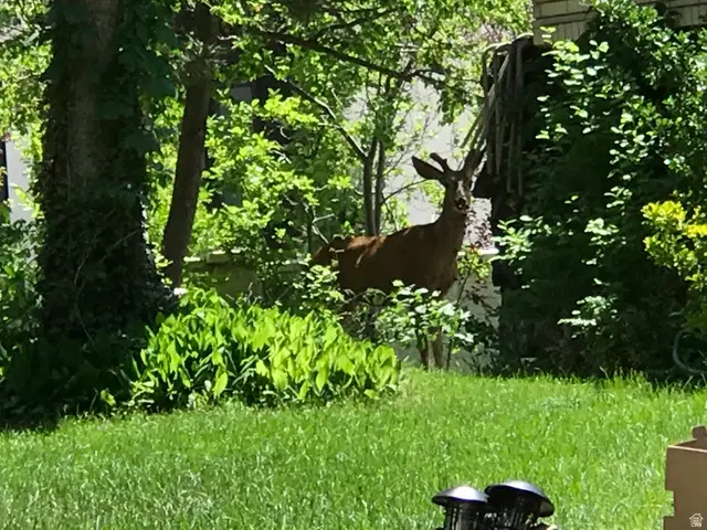 2113 E Fardown Ave, Holladay, UT 84121 - Image #1