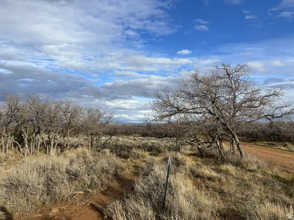 167 W Gordon Reservoir Rd, Monticello, UT 84535