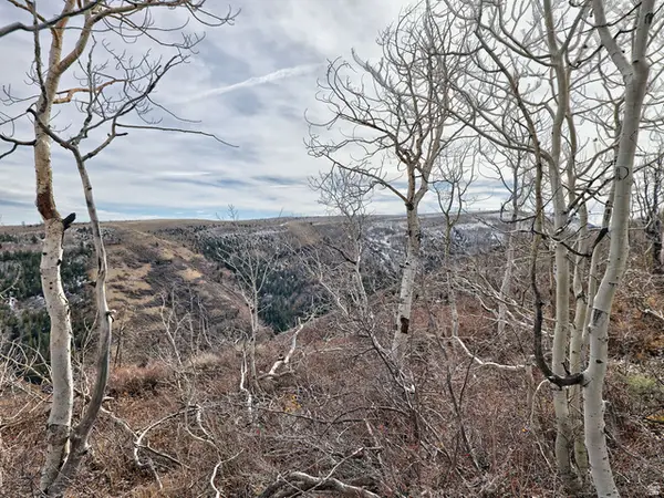 1 See Directions, Scofield, UT 84526