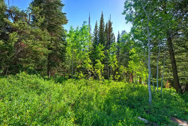 9428 E Elk Haven Rd #217, Brighton, UT 84121 - Image #3