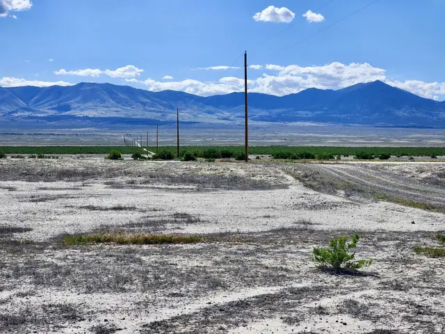 Pilot Mountain Rd, Grouse Creek, UT 84313 - Image #1