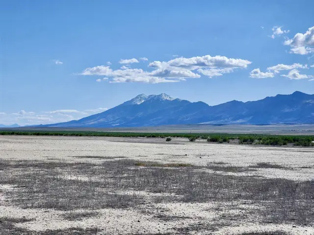 Pilot Mountain Rd, Grouse Creek, UT 84313 - Image #3