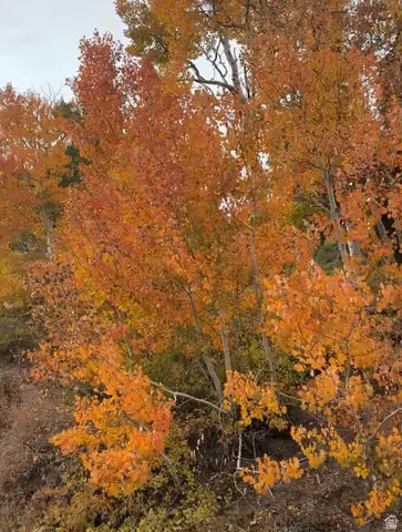 6838 E 6675 N #2, Eden, UT 84310 - Image #3