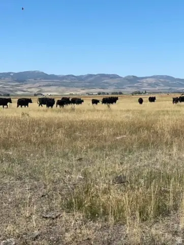 159 N Peterson Ln, Paris, ID 83261 - Image #3