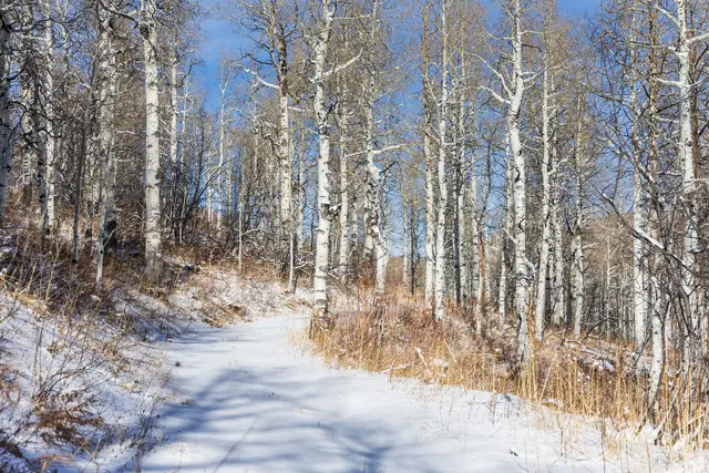 11708 Canyon Rim Rd #194, Oakley, UT 84055 - #3