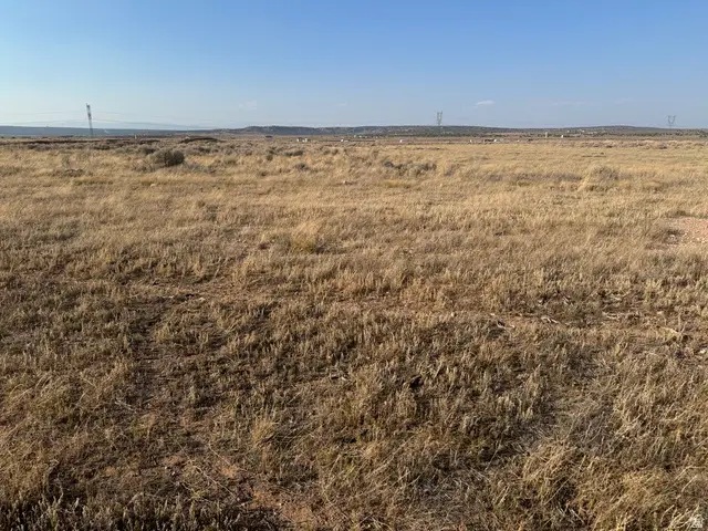 #9C, Duchesne, UT 84021 - Image #2