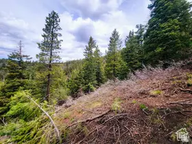 36 Sky Haven Mountain Retreat #36, Duck Creek Village, UT 84762 - Image #1