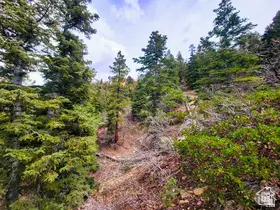 36 Sky Haven Mountain Retreat #36, Duck Creek Village, UT 84762 - Image #2